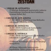 Gau Beltza Zestoan