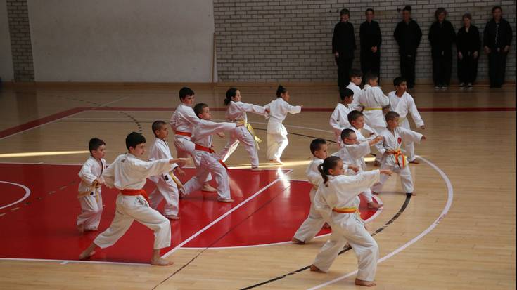 Ikasturte amaierako jaialdia egin du Kanku karate eskolak