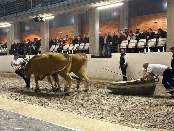 Ipiñarrietaren idiak nagusi, Lopategiren aurkako apustuan