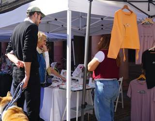 Udaberriko artisau azoka, bihar eta etzi