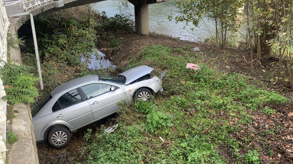 Auto bat ibaira erori da, eta gidaria arin zauritu da