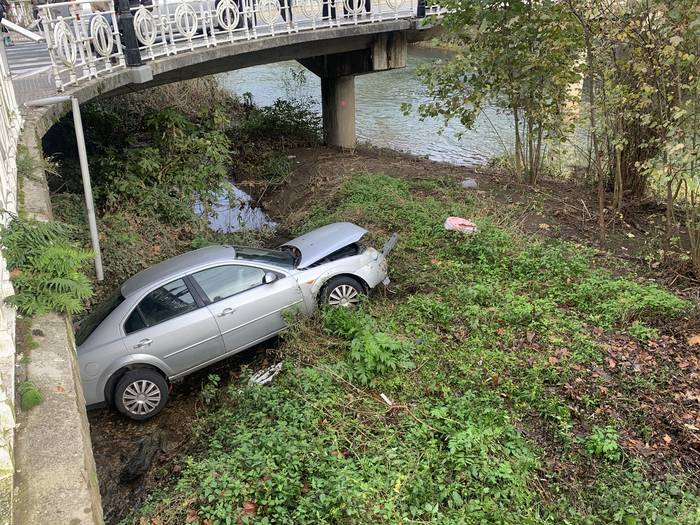 Auto bat ibaira erori da, eta gidaria arin zauritu da
