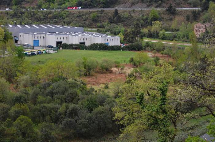 Geoparkeak 2.400 zuhaitz landatu ditu Zumaiako lurretan