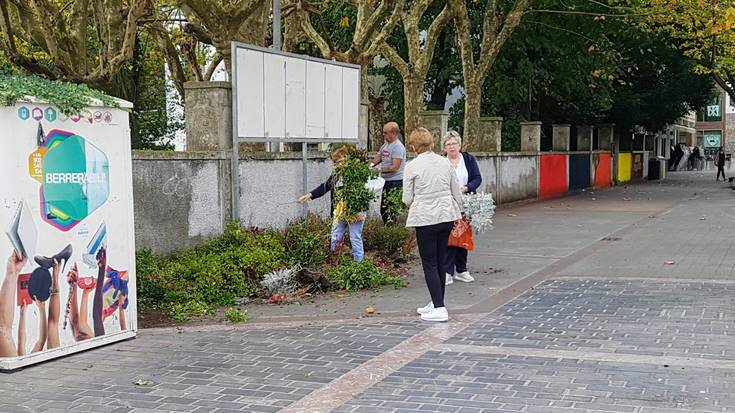 Udalak herritarren eskura jarri ditu lorategietatik kendutako landareak