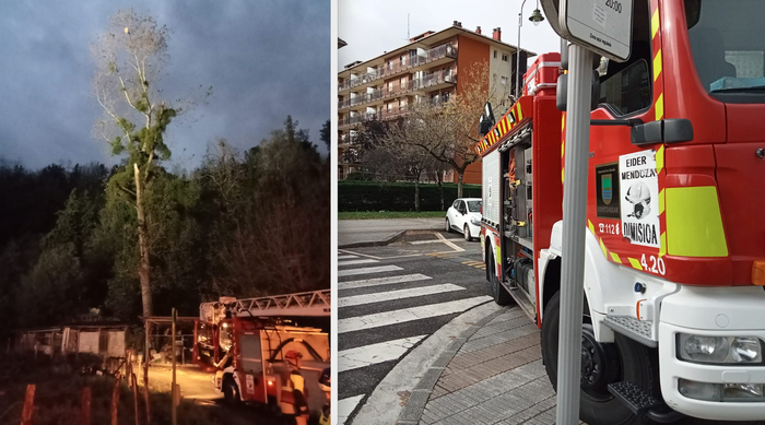 Suhiltzaileek liztor asiatikoen erlauntza kendu dute Aian, eta lurrera eroritako zuhaitza Zarautzen