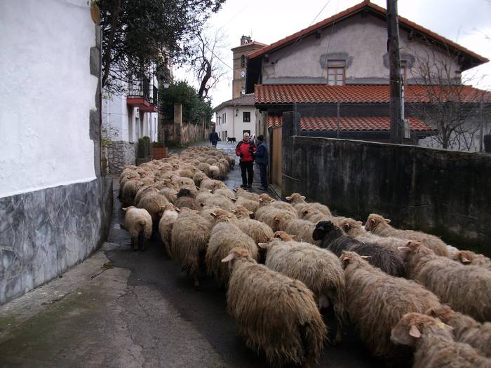 Arroa Errekara mendi irteera antolatu du Baigera Azpeitiko jubilatuen elkarteak