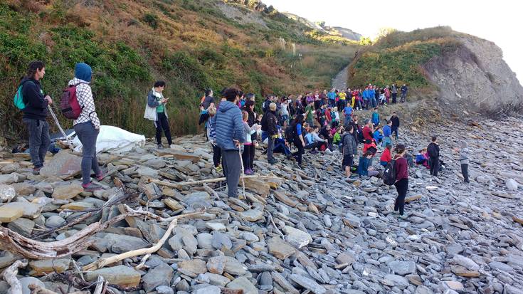Deba eta Zumaia arteko harraldea garbitu dute auzolanean 