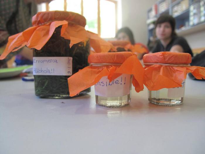 Familian sendabelarrak ezagutzeko doako tailerra