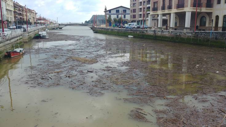 Ezohiko itxura hartu du Arroaerreka ibaiak