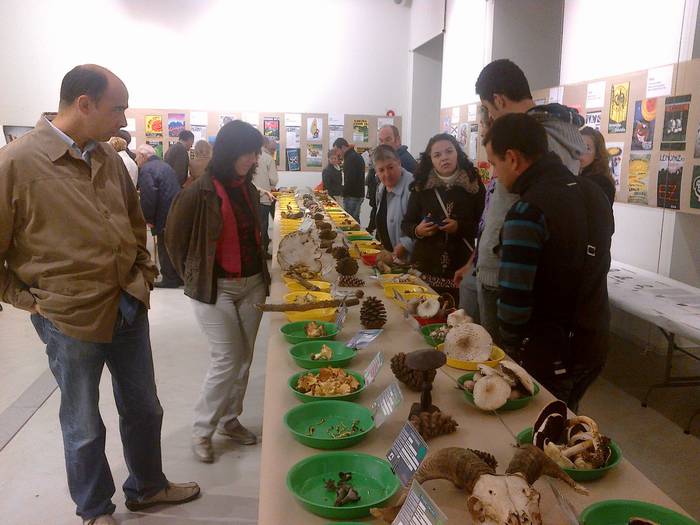 Bioaniztasunaren inguruko hitzaldiarekin hasiko da gaur Aste Mikologikoa