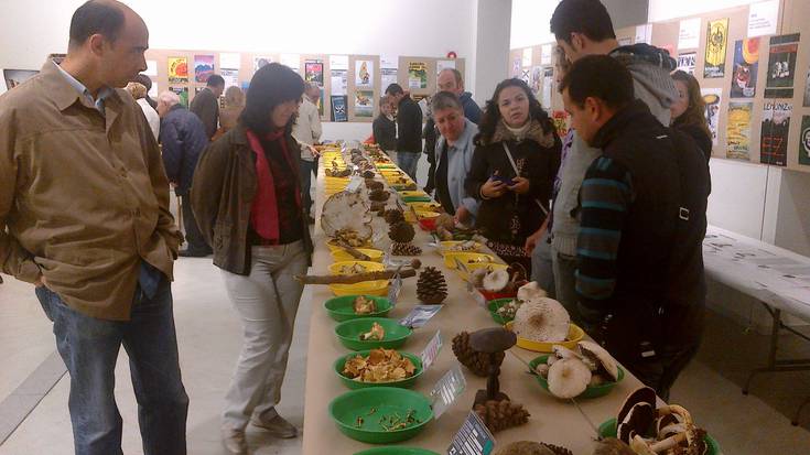 Bioaniztasunaren inguruko hitzaldiarekin hasiko da gaur Aste Mikologikoa