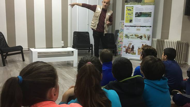 Galtzeko arrisku bizian dago bertako bisoia