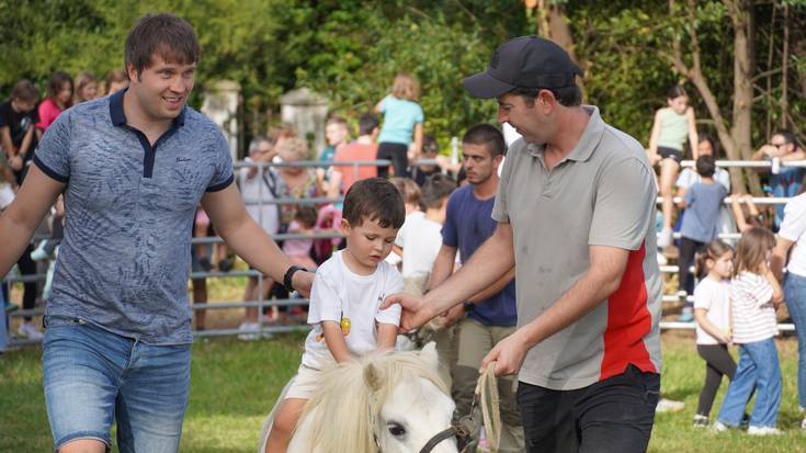 Zezen eta pottokekin hasi dituzte sanmigelak Artadin