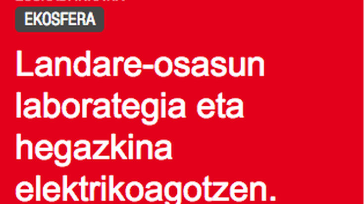 Amaia Urkola Euskadi Irratian elkarrizketatu dute, pinuak sufritzen ari diren gaitzaren harira