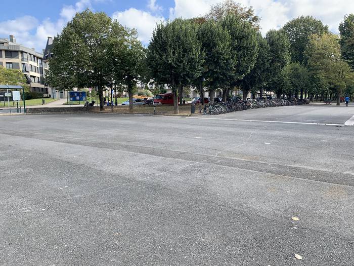 Kale sortu dute, San Pelaioko Kultura eta Artearen Lagun Elkartea