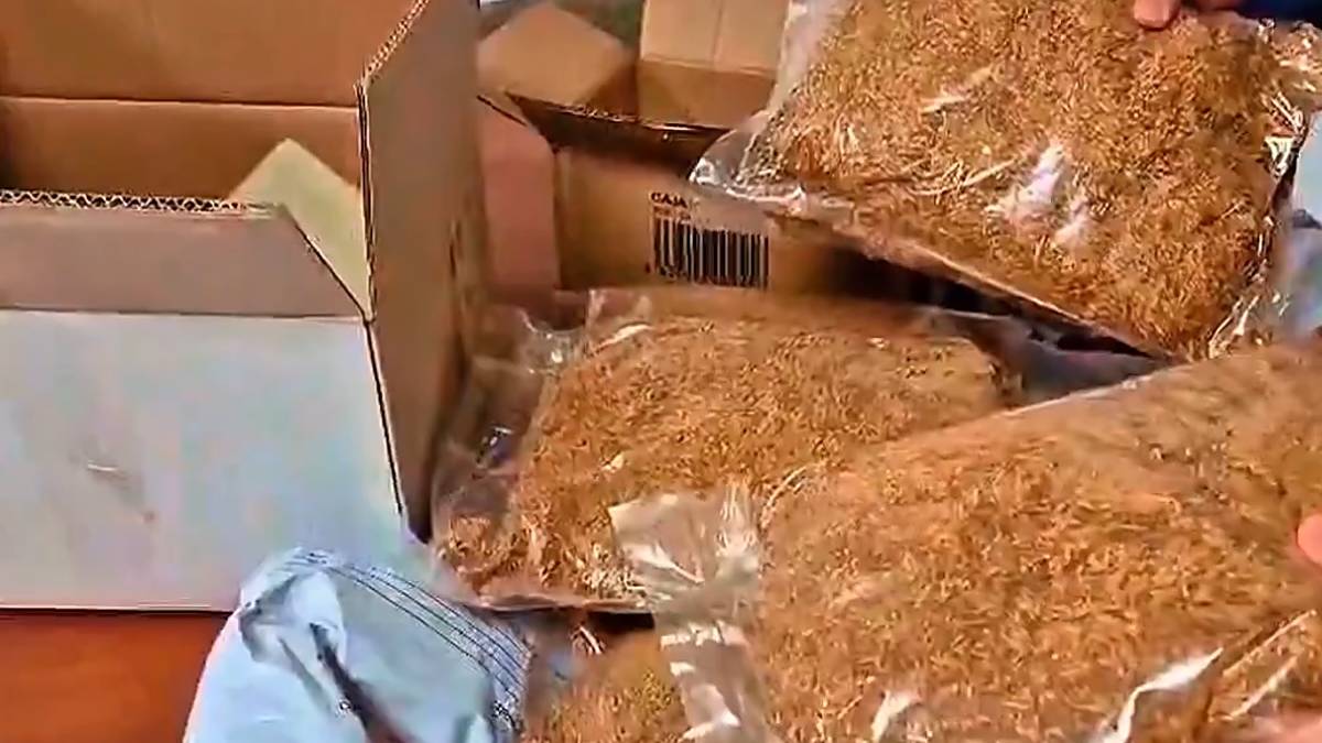 Zestoara eta Mutrikura zihoazen kontrabandoko bi tabako bidalketa atzeman ditu Guardia Zibilak