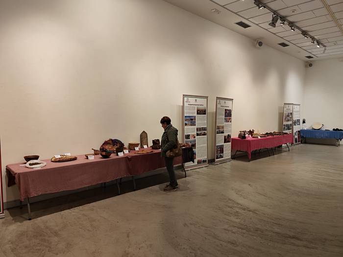 Hitzaldia eta haurrentzako tailerrak, Darahliren Lankidetza astea bukatzeko