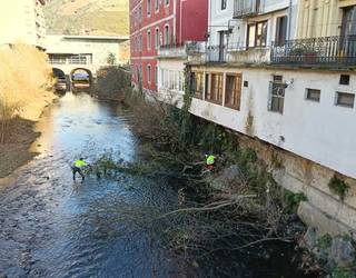 Urola eta Ibaieder ibaietako zubi inguruak garbitzen ari dira