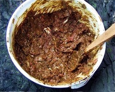 Apasta