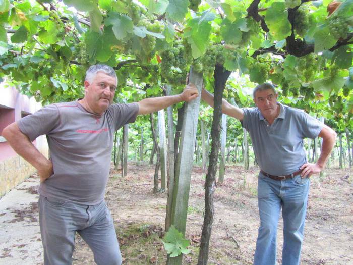 25 urte bete ditu Getariako Txakolina Jatorri Izendapenak eta festa egingo dute igandean