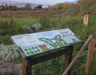 Informazio panel berria jarri dute Iritako hezegunean