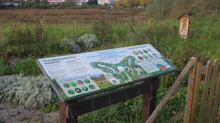 Informazio panel berria jarri dute Iritako hezegunean