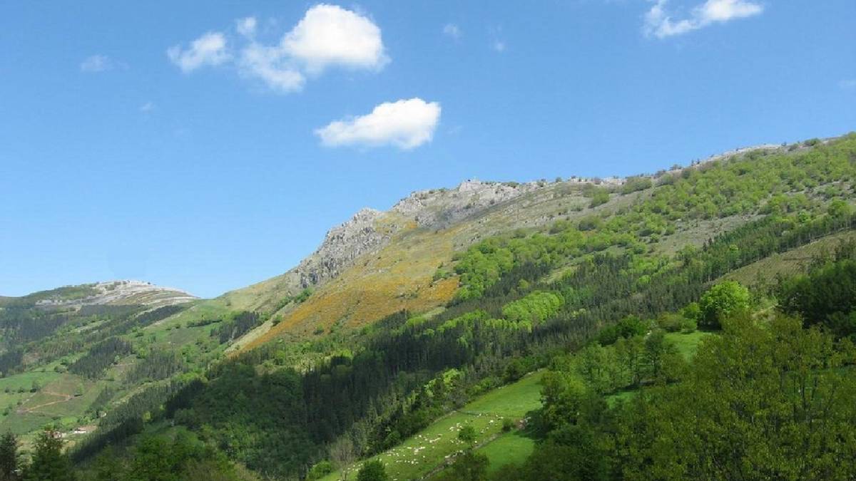 Herniozabalen 15.000 pago landatuko ditu aldundiak
