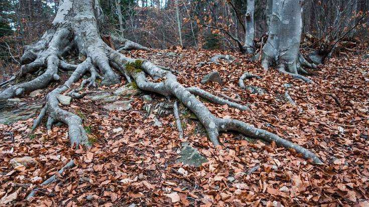 Juan Joxe Agirreren oroimenezko argazki lehiaketa jarri dute martxan