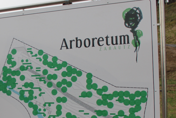 Arboretum urbanizatua