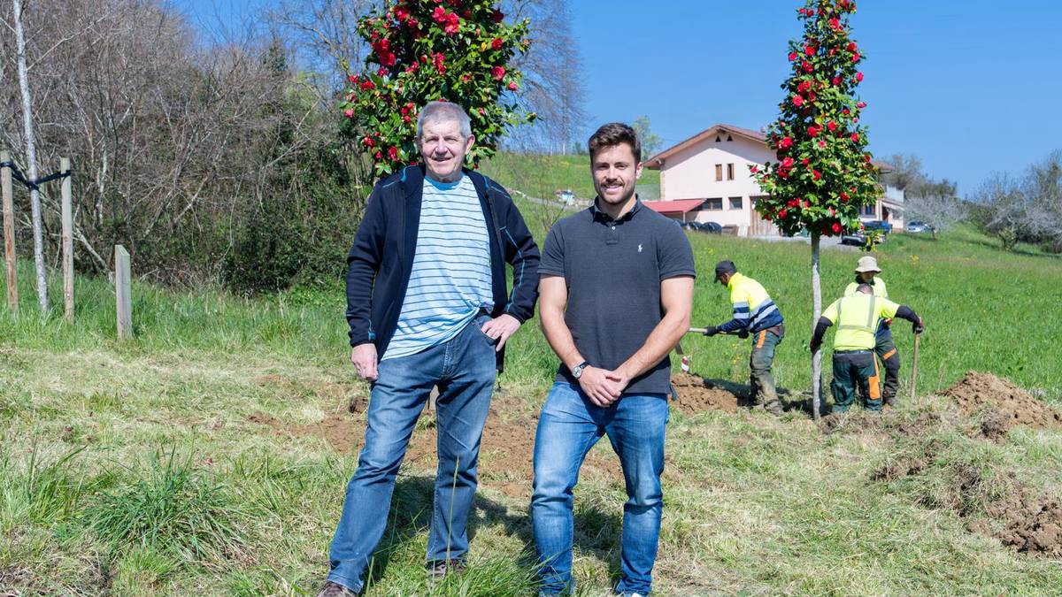 50 ale berri landatu dituzte Itulazabalgo arboladian