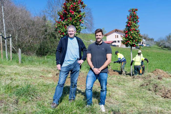 50 ale berri landatu dituzte Itulazabalgo arboladian