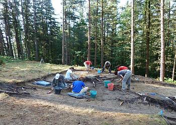 Aztarnategia babesteko zazpi hektarea pinu kendu dituzte Munoaundin