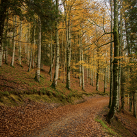Udazkeneko 35. Argazki Rallya