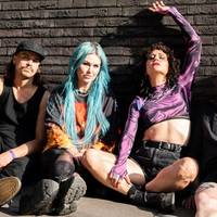 Kontzertua: The Baboon Show