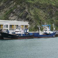 Hitzaldia: 'Zer eta nola arrantzatzen da gure itsasoetan?'