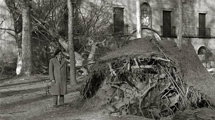 Zuhaitza Narroseko atarira erori zenekoa