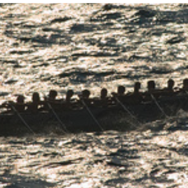 Hitzaldia: 'Itsas ondarea, arrauna'