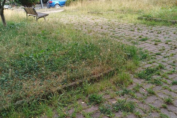 Kejie ta desditxie: "Diru partida bat zertan erabili galdetzen duzue?"