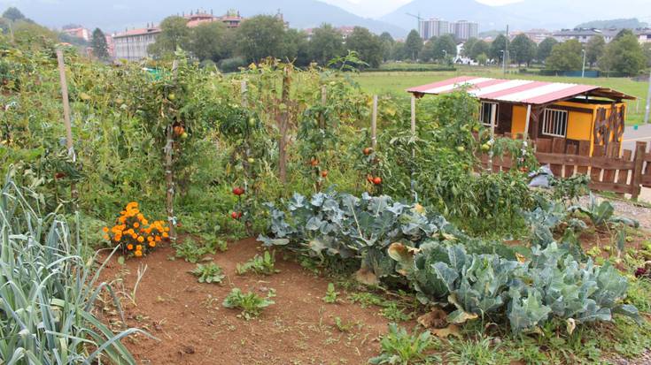 Produktu Fitosanitarioen Aplikatzaile txartela ateratzeko ikastaroa antolatu dute