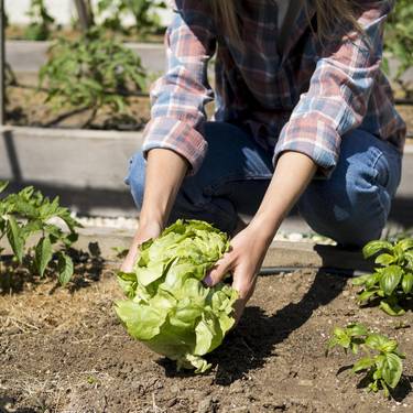 Solasaldia: 'Nekazaritza, elikadura eta ekofeminismoa: soka berdineko harimuturrak'