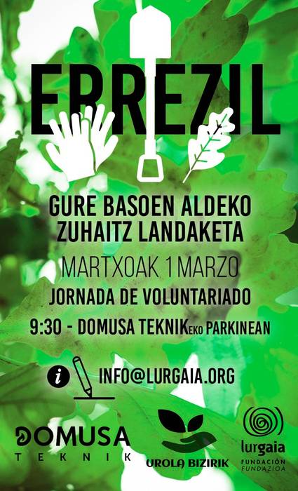 Basoen aldeko zuhaitz landaketa