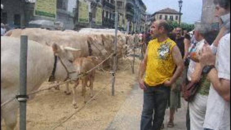 Santioetan, festa!