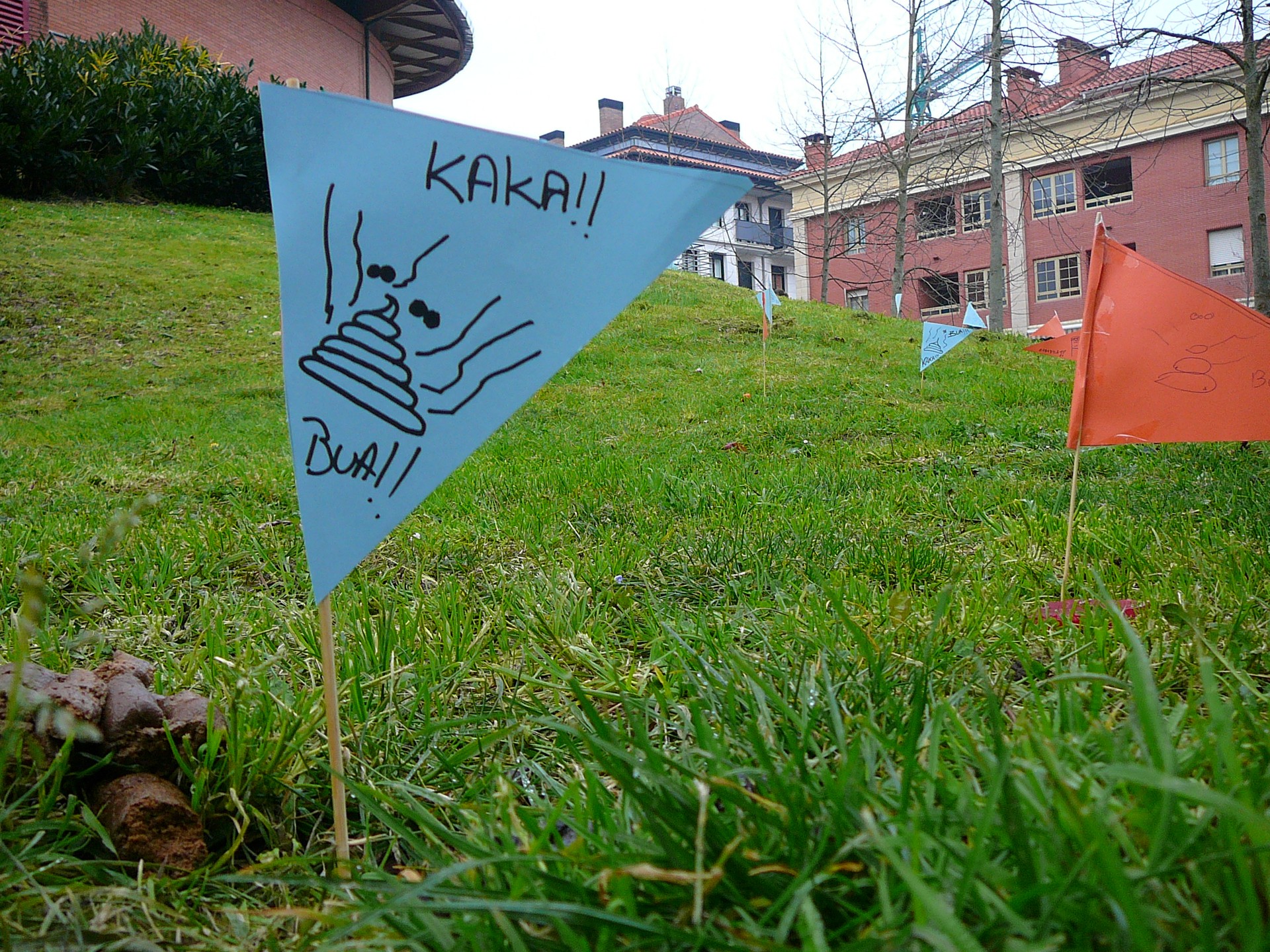 Txakur kakarik ez!