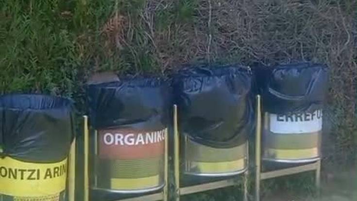 Arratoiak, eguneroko bisitari bihurtuak