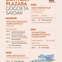 Zaintzak Plazara: 'Hitz egin dezagun gure zaintzaz' saioa, Olaia Aranaren eskutik