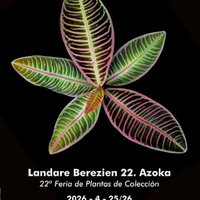 Landare Berezien 22. Azoka