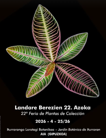 Landare Berezien 22. Azoka