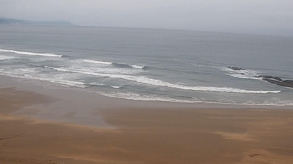 Hondartzetako garbitze eta sorosle zerbitzuetarako laguntzak emango ditu aldundiak