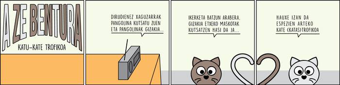 Katu-kate trofikoa, Enoken zintan