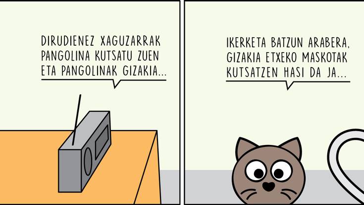 Katu-kate trofikoa, Enoken zintan